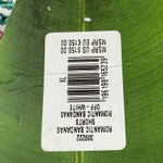 Farm Rio Womens XL Romantic Bandanas Print Belted Shorts Multicolor NEW Photo 6