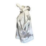 Champion  Chico State women's size XL short sleeve hoodie white and grey Photo 3