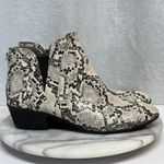 Circus by Sam Edelman Pipper Booties Women 8 Snakeskin Faux Leather Festival Photo 3