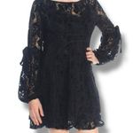Free People Size L Black Floral Lace Illusion A-Line Dress Dark Fairy Coquette Photo 0