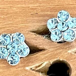 Nordstrom   flower blue stone earrings Photo 0