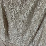Jessica Howard  Evenings Champagne Chiffon and Lace Formal Dress Size 14 Photo 2
