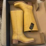 Frye  Campus 14L Extended Calf Tall Boots- 8 Photo 1