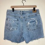 American Eagle  Tomgirl Distressed Shorts Button Fly Size 14 Short Photo 3