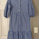 Quince  Striped Blue White Shirt Maxi Dress Closet Staple Basic Modest Photo 0