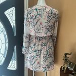 EXPRESS  light pink floral long sleeve dress Photo 4