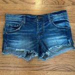 Free People  Denim Shorts Photo 0