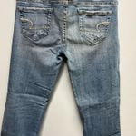 American Eagle Artist Crop Jeans Photo 5