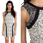 Parker • Jagger Mini Dress bodycon lace print cocktail black cream sheath Photo 5