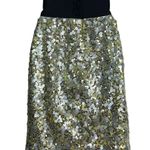 Robert Rodriguez Pencil Skirt Sequined Lemonchello Black Band Photo 1