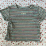 Dickies  striped lettuce trim tee Photo 0