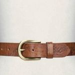 Patricia Nash belt Vietri Belt Signature Map size M brown NEW Photo 0