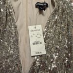 EXPRESS  Silver Sequin Long Sleeve Dress Photo 4