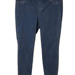Kaari Blue  Curvy Jeggings Size 18W Photo 0