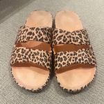 Freedom Moses Slides Photo 0