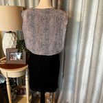 Speechless  Dress upper animal print lower lace overlay black‎ & white small S Photo 3