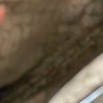 Coach Silver Clutch Bag Photo 3