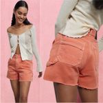 BDG Urban Outfitters  Cutoff Carpenter
Shorts Photo 8