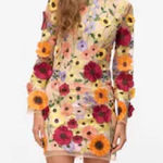 ASOS 3D flowers appliqué dress long sleeve mesh mock neck mini Oscarrenta embroidered Photo 0