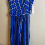 Emma & Michelle NWT Emma & Michele Blue Stripe Sleeveless Jumpsuit Women’s Size 12 Photo 4