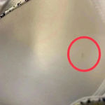 Laura Ashley 🆕 Floral Print 42D Bra🆕 Photo 8