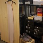 Alice + Olivia  LUMI FITTED PALE NUDE DRESS Photo 1