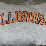 Champion University of Illinois hoodie Photo 2