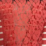 love on a hanger Striped Blazer with Lace Details Photo 3