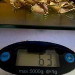 Vintage necklace Tortolani Links Brushed Gold tone long infinity Strand chain Photo 3