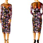 Nicole Miller  Black Floral Applique Mesh Dress Size 2 Photo 2