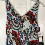 2OH Two Old Hippies Jean Marie Velour Paisley Print Maxi Dress Sz S Blue Red Boh Photo 2