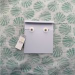 Kendra Scott  Earrings Photo 1