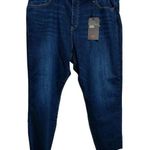 Levi's  Wedgie Skinny Jeans - Size 22W - NWT Photo 0