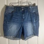 Torrid Bermuda Short | Photo 0