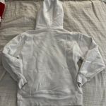 Aritzia tna boyfriend hoodie Photo 1