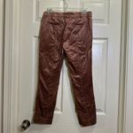 Anthropologie Brown Copper Crushed Velvet Essential Slim Ankle pants size 2 Photo 3