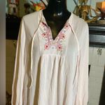 Vintage Light Pink Sheer Nightgown with Embroidered Chest with Tie at Neck Small Photo 1
