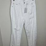 Pistola  Cassie Super High Rise Straight in Snowfall Distressed Size 27 NWT Photo 1