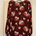 Maurice's Maurice Sheer Top Flutter Dressy Blouse 3X Long Sleeve, 24" pit to pit and 27" L Photo 2