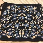 ZARA Embroidered Skirt Photo 0