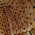 Lounge Fly Star Wars Mini Backpack Back To School Casual Photo 6