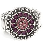 Paparazzi Grove Trove Purple Ring (16) Photo 1