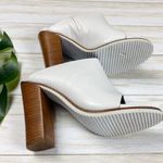 Tibi  ivory Bee mule Photo 6