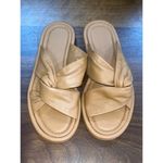 Everlane  The Day Twist Sandals in Desert Tan 6.5 New Womens Photo 5