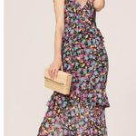 AMUR Women's Black Multicolor Floral Anemone 100% Silk Maxi Dress Size 6 Photo 0