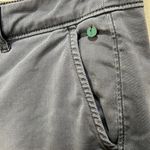 Pilcro and the Letterpress Anthropolgie Hyphen Shorts Size 25 Photo 3