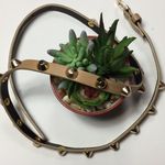 Lightweight Rock stud studded skinny belt Photo 4