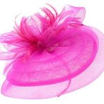 Chic Pink Fascinator Hat Photo 0