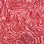 VICI Midi Pink And Red Printed Dress Photo 3