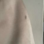 Veronica Beard  Blazer Photo 13